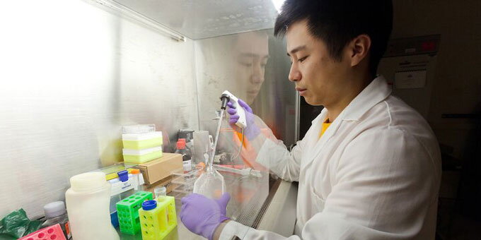 Student working in a lab