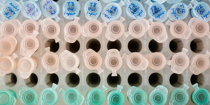 Samples from a lab